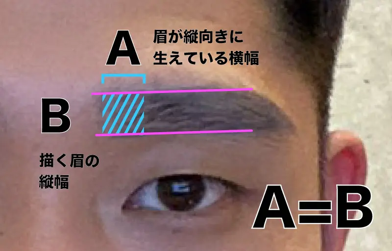 キリッとモテ顔 元美容部員ゲイに学ぶ 盛れ眉 の描き方 アンロミー